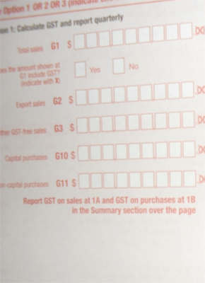 Business Activity Statement BAS GST